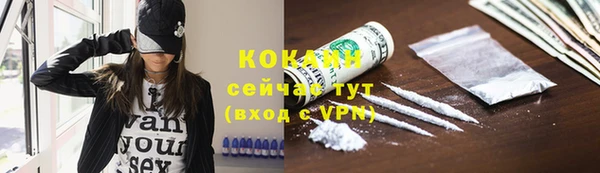 ECSTASY Ельня