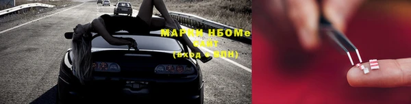 СК Дмитровск