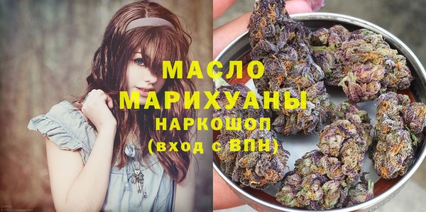 СК Дмитровск