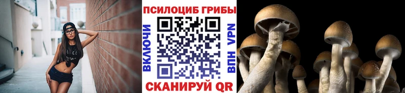 Псилоцибиновые грибы Magic Shrooms  Купить где  Зеленокумск 